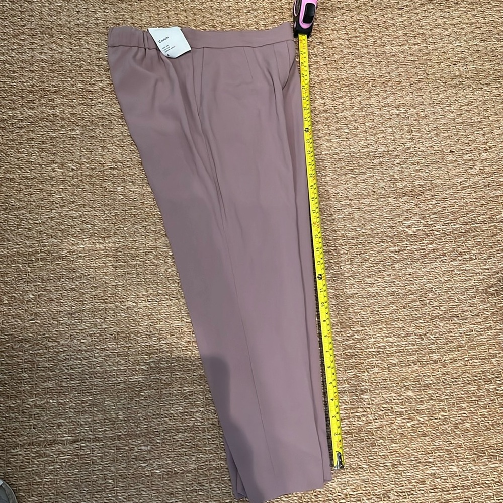 Babaton Cropped Pants in Dusty Mauve